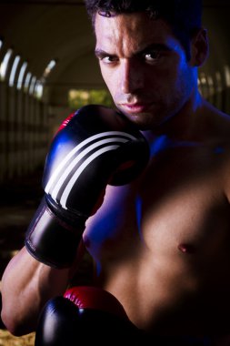 avcı boks eldiven ile uygun