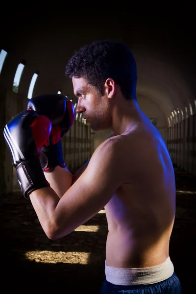 Combate ajuste con guantes de boxeo —  Fotos de Stock