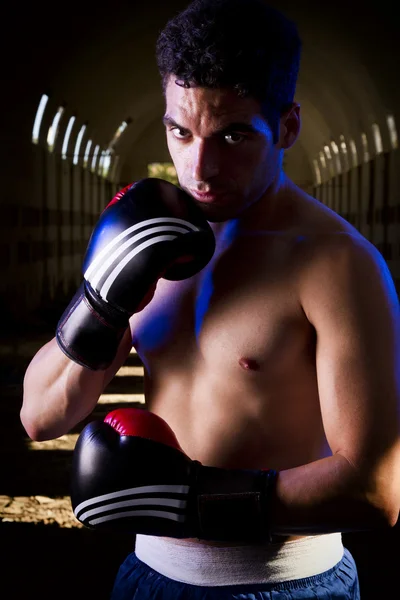 Combattente in forma con guanti da boxe — Foto Stock