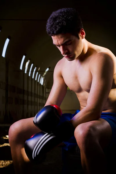 Пригодный боец в боксёрских перчатках — стоковое фото
