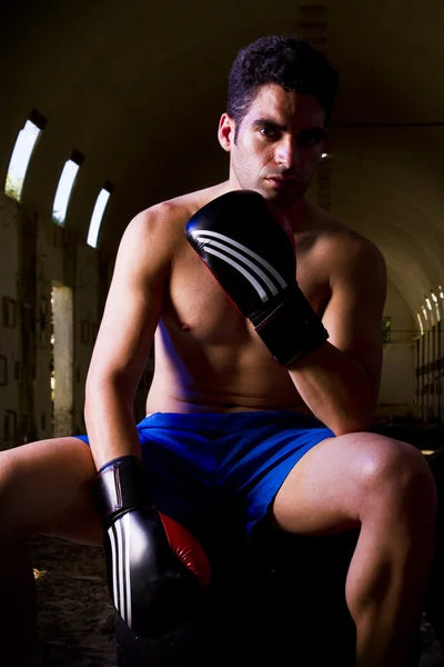 Fit fighter with boxing gloves — Stock Photo, Image