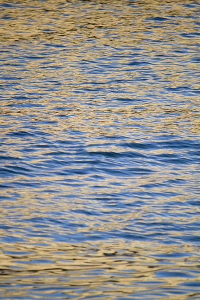 Agua dorada del océano — Foto de Stock