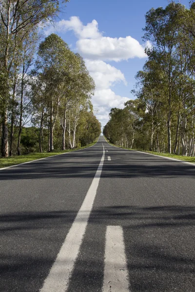 Lunga strada asfaltata — Foto Stock