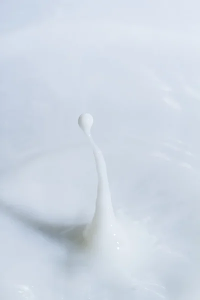 Kropla mleka — Zdjęcie stockowe