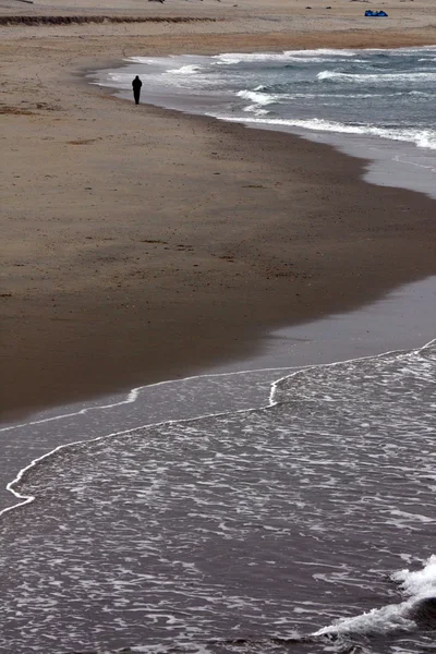 Sam na plaży — Zdjęcie stockowe