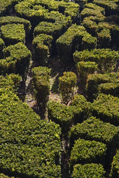 Jardín real de Cascata — Foto de Stock