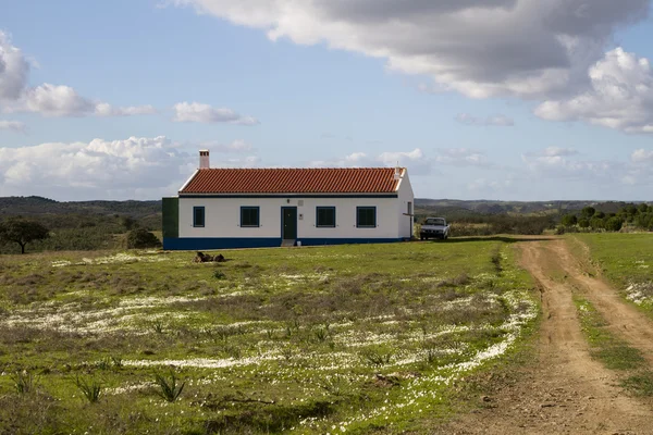 Dom i polnej drodze na wsi — Zdjęcie stockowe