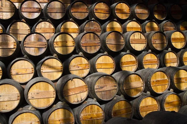 Barricas de vino de madera en una bodega — Foto de Stock