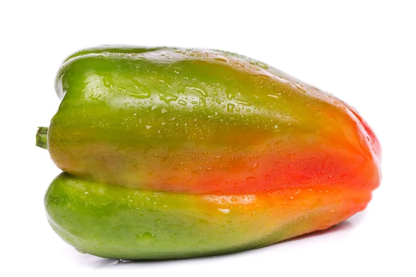 Friss zöld színű paprika — Stock Fotó