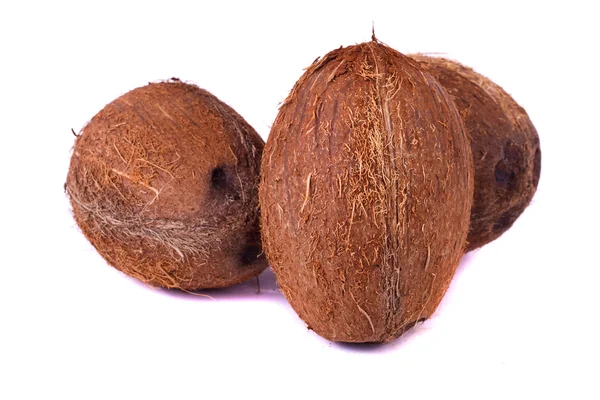 Kookospähkinät valkoisella — kuvapankkivalokuva