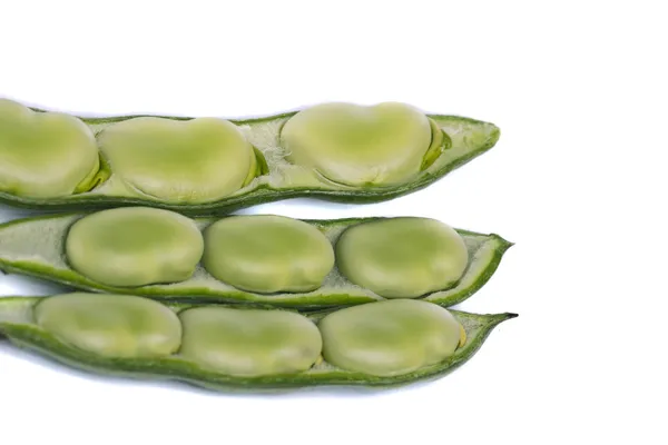 Broad beans — Stock Photo, Image