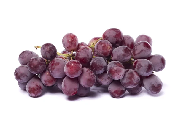 Uvas de vinho tinto — Fotografia de Stock