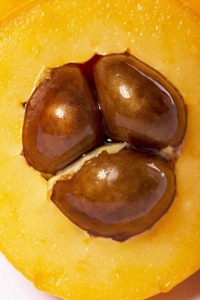 Vruchten van de loquat — Stockfoto