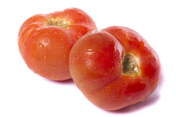 Tomatoes on white — Stock Photo, Image