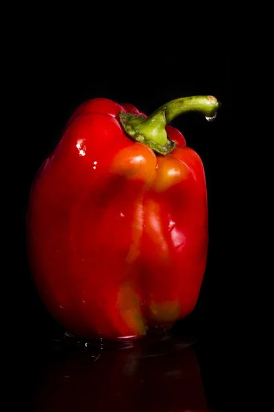 Rote Paprika auf schwarzem Hintergrund — Stockfoto