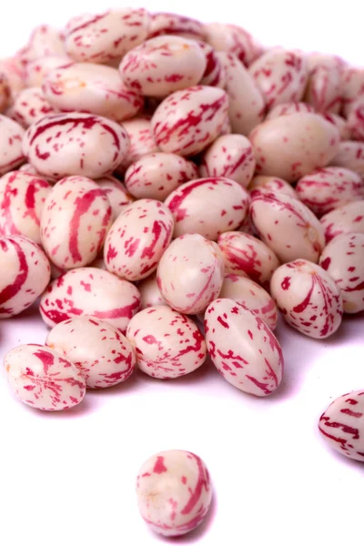 Fagioli borlotti — Foto Stock