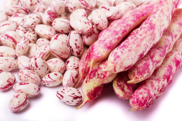 Borlotti beans — Stock Photo, Image