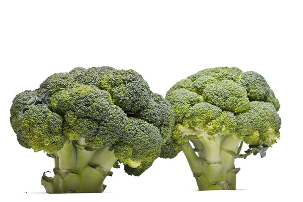 Hortalizas de brócoli — Foto de Stock