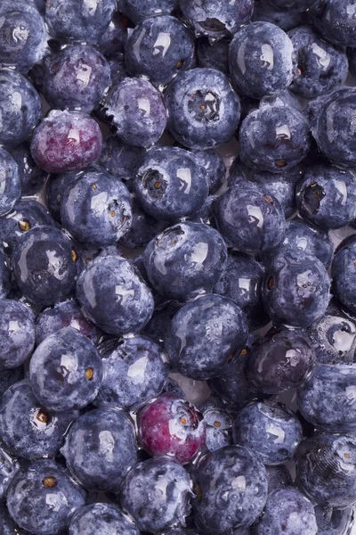 Leckere Blaubeeren — Stockfoto