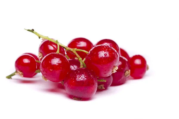 Tasty red currant berries — Stock Photo, Image