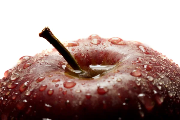 Manzana en blanco — Foto de Stock