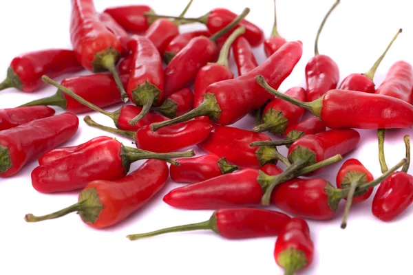 Bando de pimentas vermelhas — Fotografia de Stock