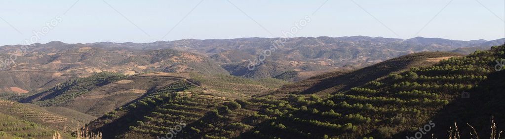 Algarve mountain range