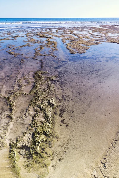 Pantai Algarve yang indah — Stok Foto