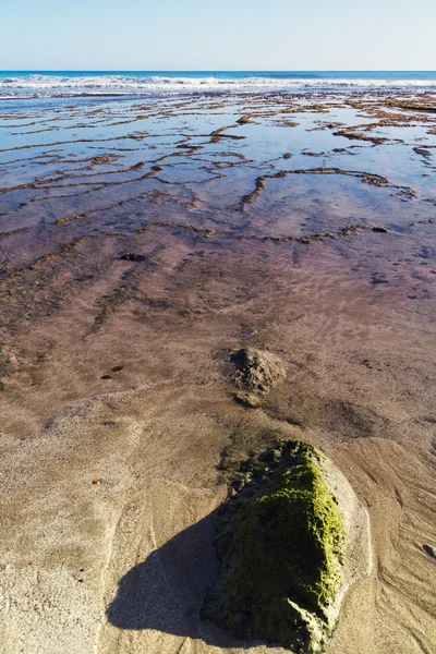 Güzel algarve Plajı — Stok fotoğraf