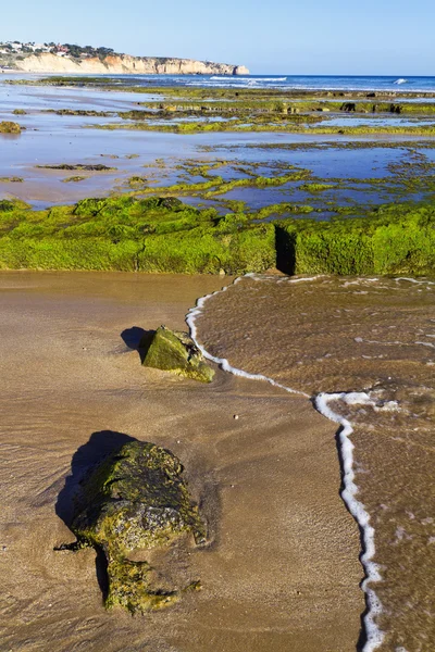 Beautiful Algarve beach — Stock Photo, Image