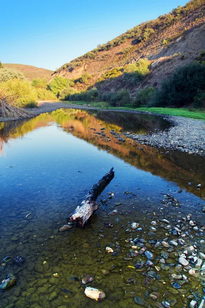 Iç Nehri — Stok fotoğraf