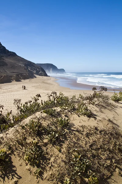 Prachtig strand in sagres — Stockfoto