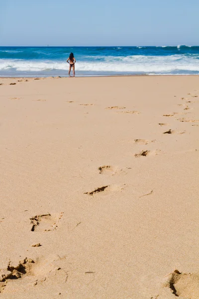 Bela praia em Sagres — Fotografia de Stock