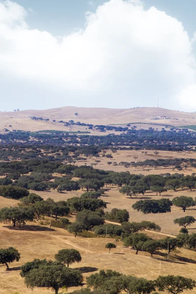 Krajobraz regionu Alentejo — Zdjęcie stockowe