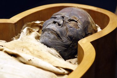 Open casket of Egyptian mummy clipart