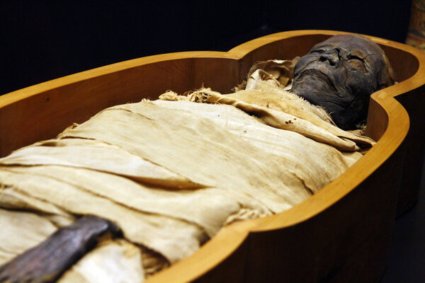 Open casket of Egyptian mummy