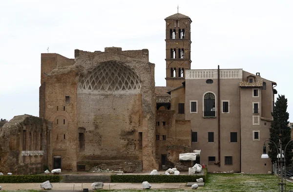 Palatino ruinerna i Rom, Italien — Stockfoto