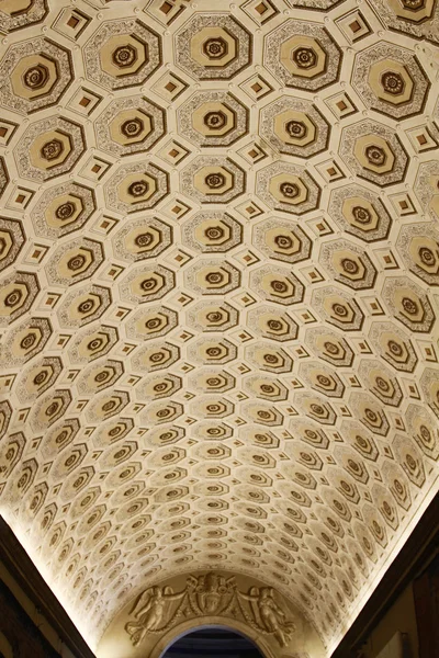 Vatikan müzelerinden tavan detayları — Stok fotoğraf