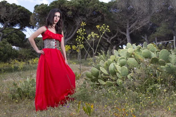 Young woman in a red dress — Stock Photo, Image