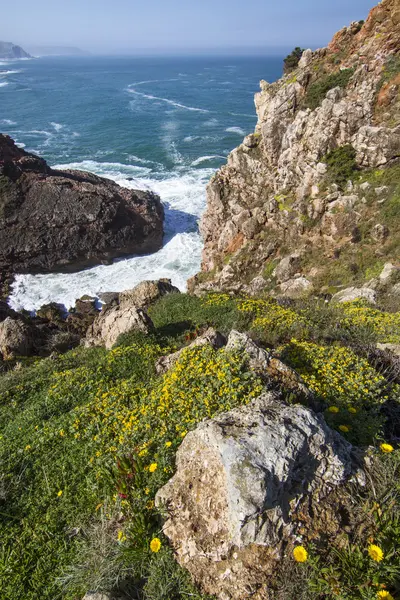 Beautiful coastal Algarve — Stock Photo, Image