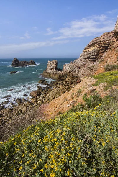 Beautiful coastal Algarve — Stock Photo, Image