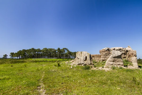 Parche de árboles con ruinas — Foto de Stock