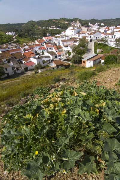 İspanyol sanlucar Town tipik evleri — Stok fotoğraf