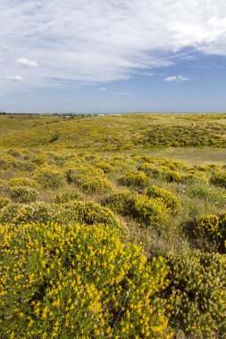 algarve kırsal Hills güzel bahar bakış