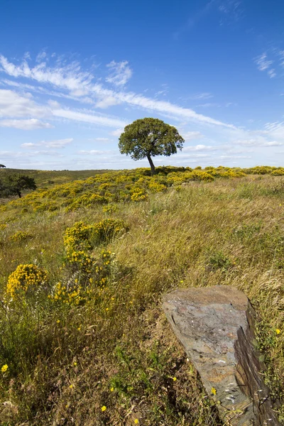 Bela vista de primavera das colinas rurais do Algarve — Fotografia de Stock