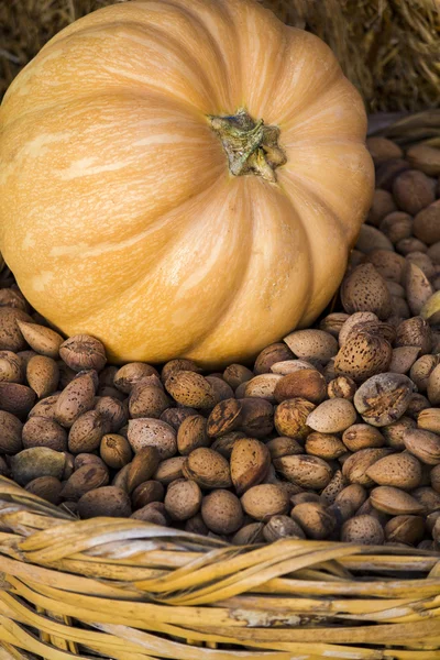 Big orange pumpkin in a basket full of almonds — Stock Photo, Image