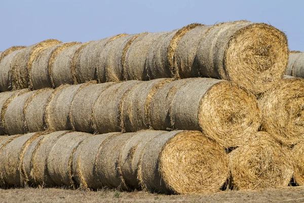 Vy av en bunt med höbalar — Stockfoto