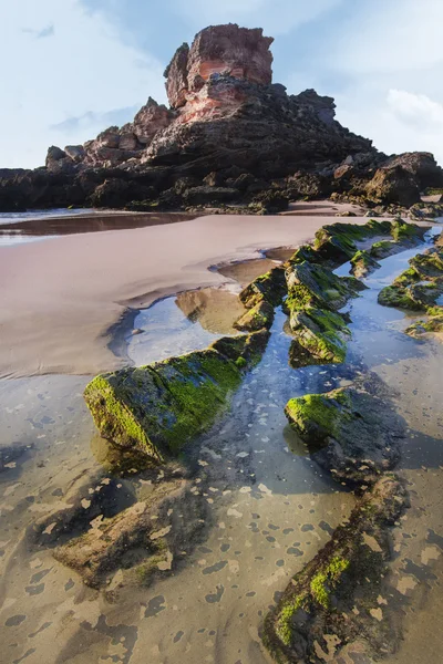 Uitzicht op de prachtige kust — Stockfoto