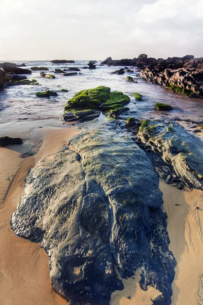 Uitzicht op de prachtige kust — Stockfoto