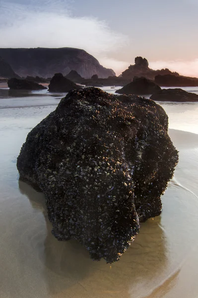 Mooie kustlijn van sagres, portugal — Stockfoto